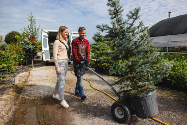 Trusted Hayesville, OR Tree Services Experts